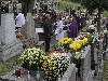 maly_013_5851.jpg