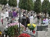 maly_013_5860.jpg