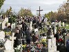 maly_013_5864.jpg