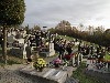 maly_013_5865.jpg