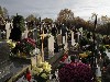 maly_013_5867.jpg
