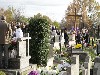 maly_013_5869.jpg