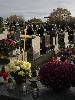 maly_013_5871.jpg