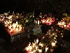 maly_013_5874.jpg