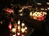 maly_013_5875.jpg