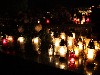 maly_013_5883.jpg