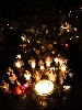 maly_013_5896.jpg