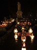 maly_013_5897.jpg