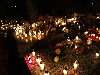 maly_013_5910.jpg