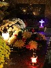 maly_013_5918.jpg