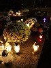maly_013_5919.jpg