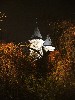 maly_013_5921.jpg